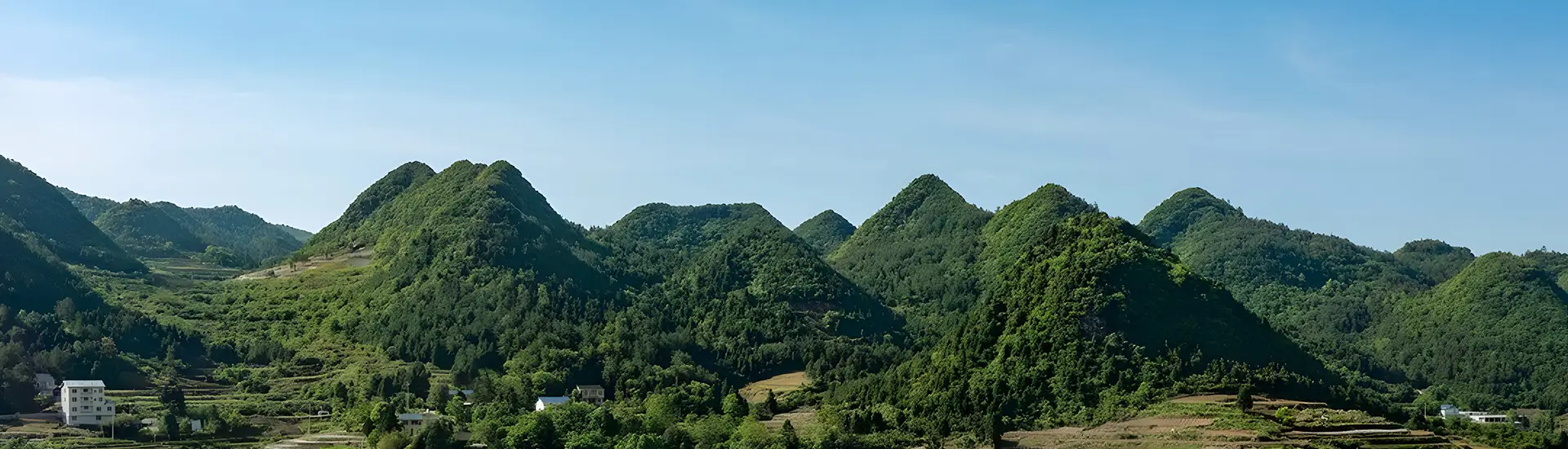 行业应用