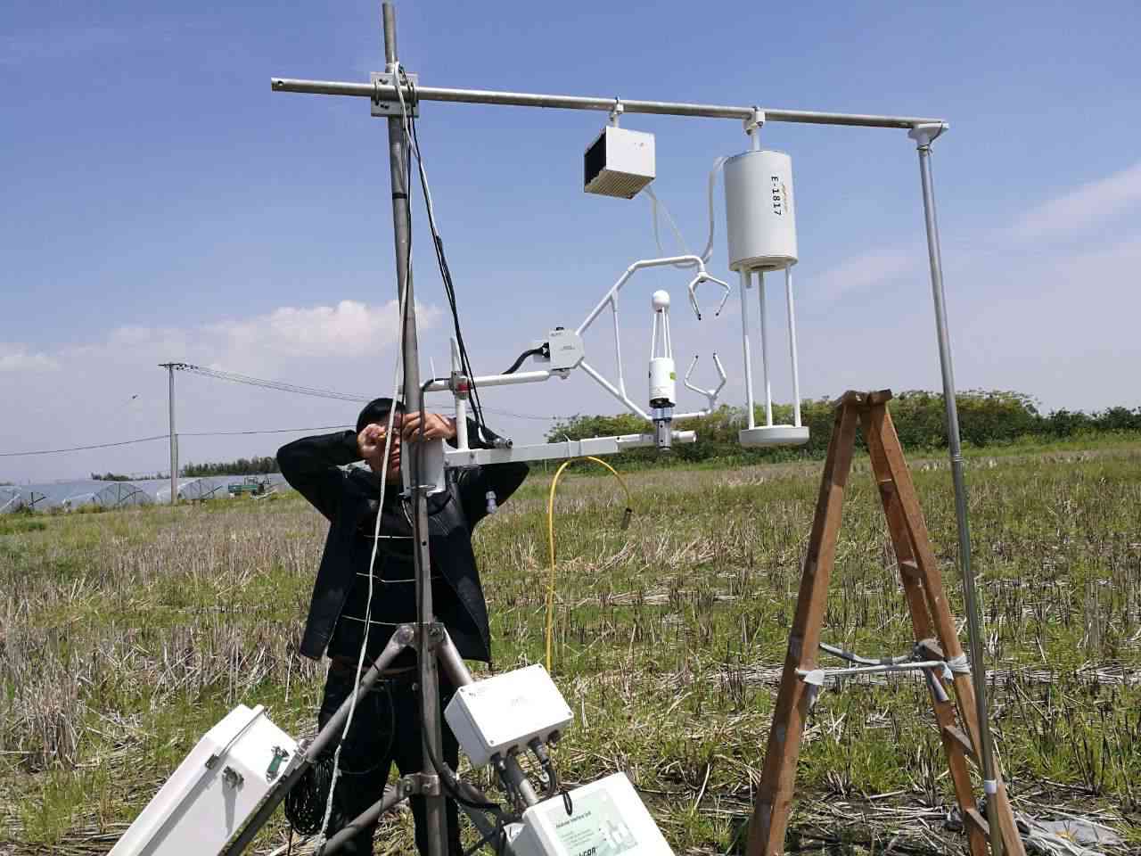  HT-8700 大气氨本底激光开路分析仪在休耕稻田的架设