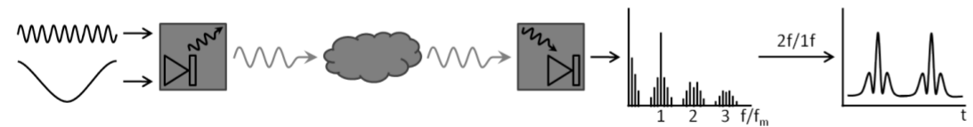 WMS示意图：调制入射激光的波长至较高频率，将接收端信号以调制频率的谐波进行解调分析