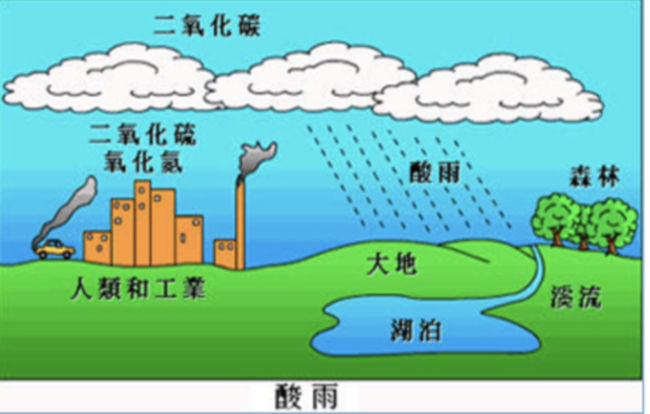 酸雨实验过程及图片图片