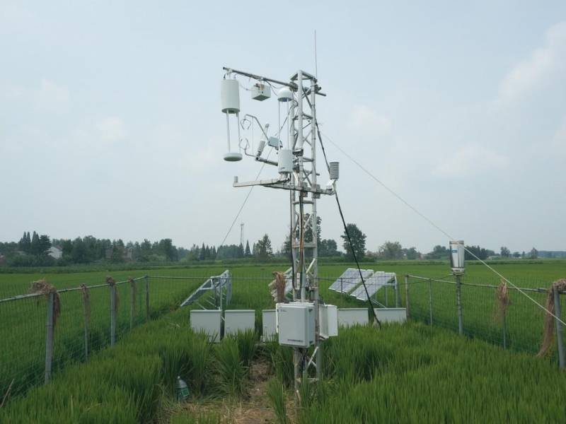 位于扬州市江都试验基地的的氨通量观测塔