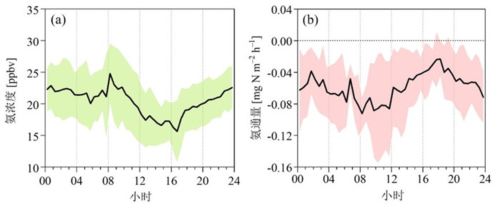 图3 华北典型农区秋冬季氨浓度和氨干沉降通量日变化趋势