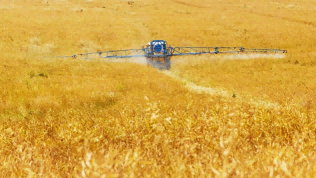 图二  农业施肥为氨目前最大的利用领域